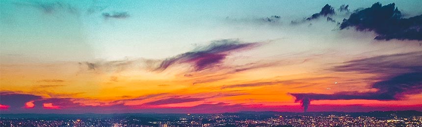 浮梁茶虫网_浮梁品茶